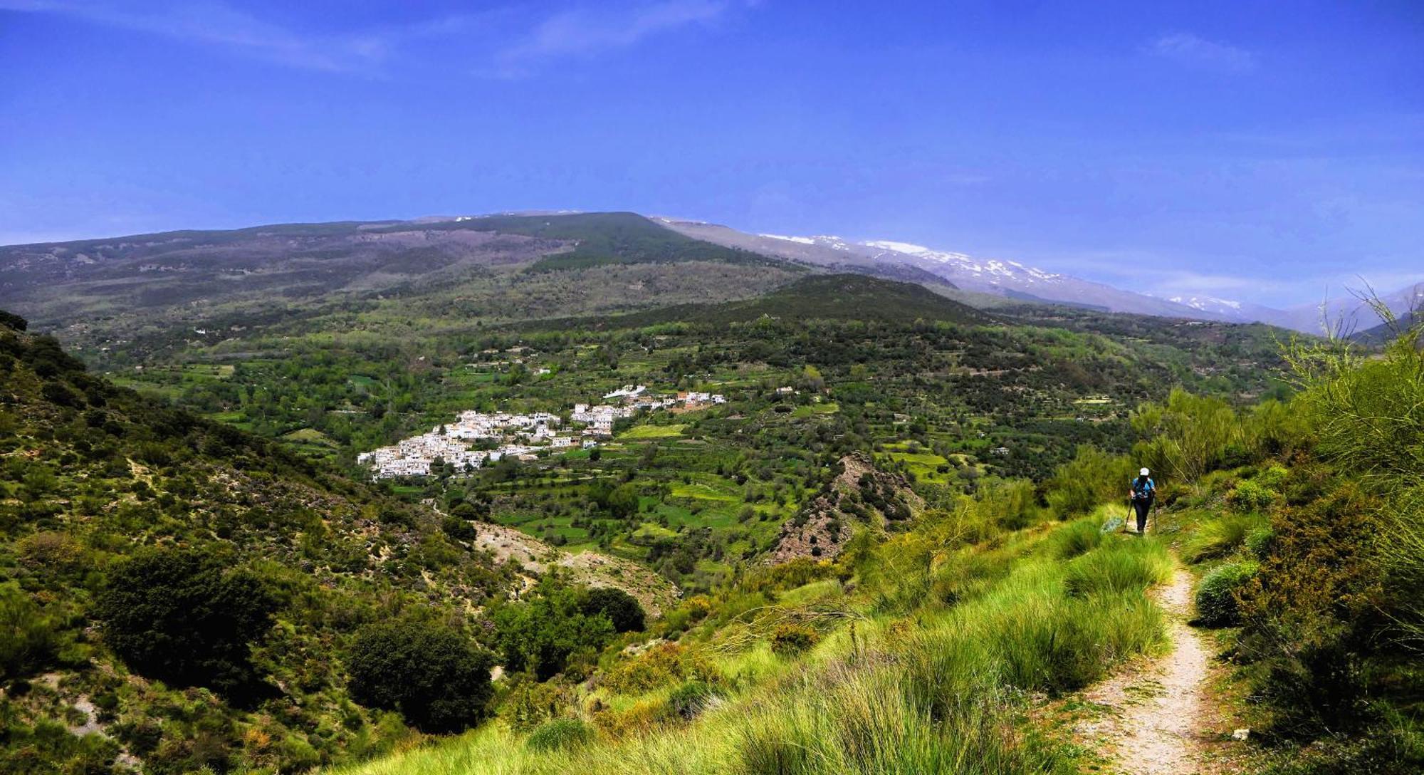 Apartamento En Bérchules Dış mekan fotoğraf